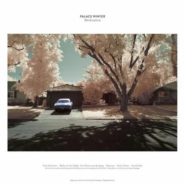 Medication by Palace Winter - album cover