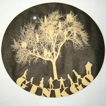 Ginkgo 2009 by Ginkgo - album cover