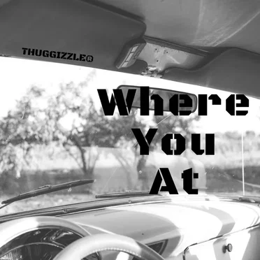 Where You At by Thuggizzle - album cover