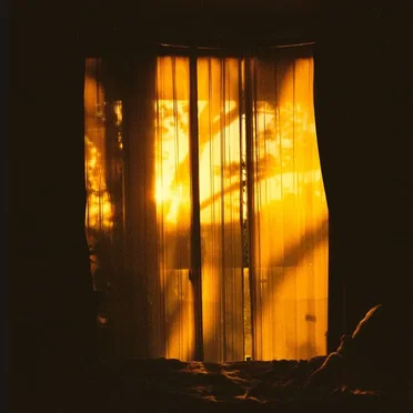 Anemoia by Olympic Bingo - album cover