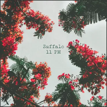 11PM by Zuffalo - album cover