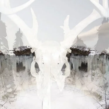 For Winter Fire by Seidr - album cover
