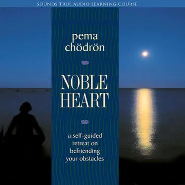 Noble Heart - 12 Session Retreat by Pema Chödrön - album cover