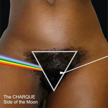 The Charque Side Of The Moon by The Charque Side of the Moon - album cover