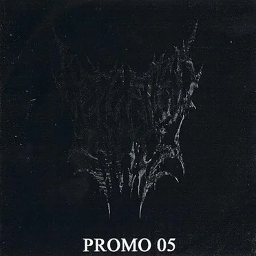 Promo 2005 by Defeated Sanity - album cover