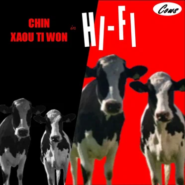 Cows