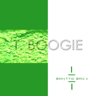 $orry 4 The $hake 2 by T Boogie - album cover