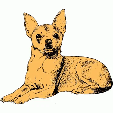 Petworks
