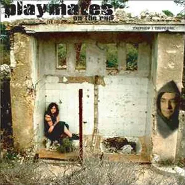 Playmates On The Run by Playmates On The Run - album cover
