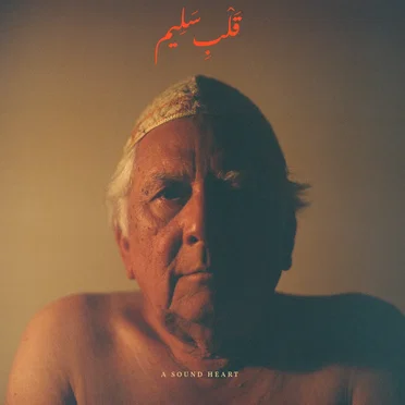 A Sound Heart by Jaubi - album cover