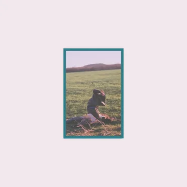 Dog Bite Forever by Upsetting - album cover