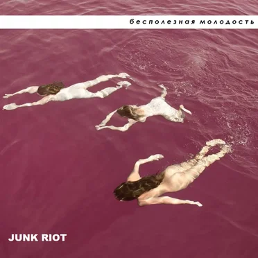 Junk Riot