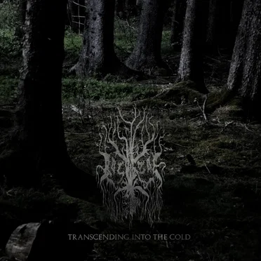 Transcending Into The Cold by Rosaceae - album cover