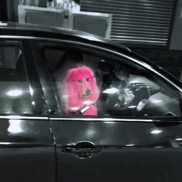 international thirst championship