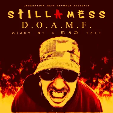 Diary of a Mad Face