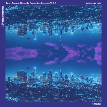 Tech Avenue Presents: Junction Vol. 6 by Various Artists - album cover