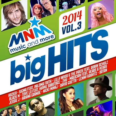 MNM Big Hits 2014, Vol. 3 by Various Artists - album cover