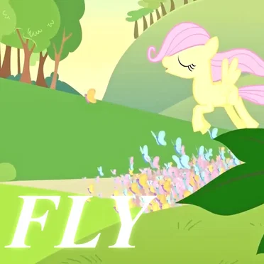 SOAR IN THE SKY