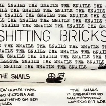 Shitting Bricks