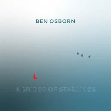 A Bridge of Starlings