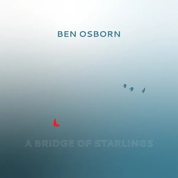 A Bridge of Starlings