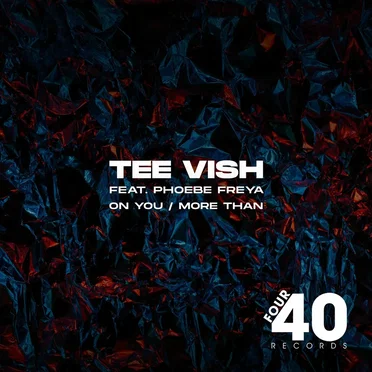 On You / More Than by Tee Vish - album cover
