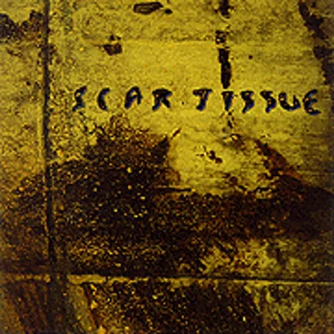 TMOTD by Scar Tissue - album cover