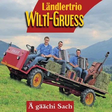Ländlertrio Wilti-Gruess