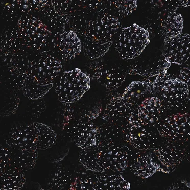 Бесконечный трепет цвета (Увядание)