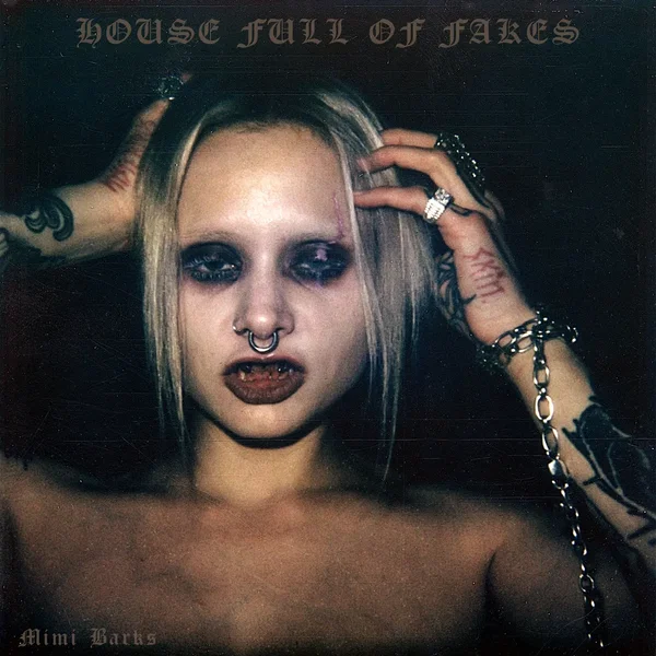 HOUSE FULL OF FAKES