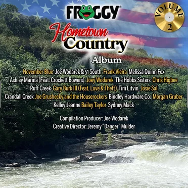Froggy Hometown Country Album, Vol. 2 by Various Artists - album cover