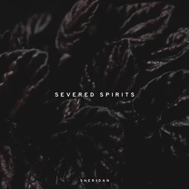 Severed Spirits by Sheridan (German metalcore) - album cover