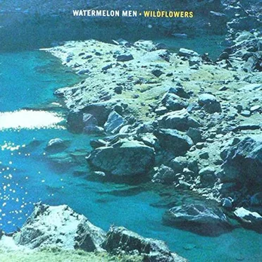 Wildflowers by Watermelon Men - album cover