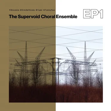 The Supervoid Choral Ensemble