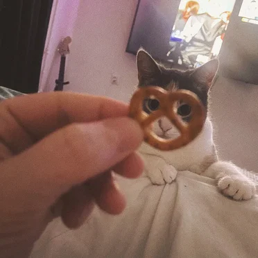 Начинаю