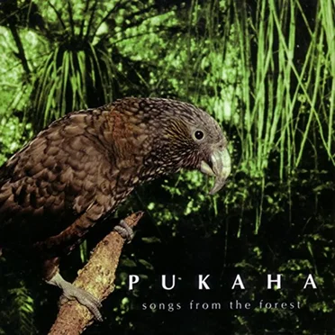 Pūkaha: Songs from the forest