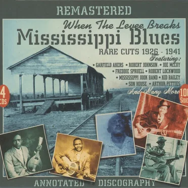 When the Levee Breaks: Mississippi Blues, Rare Cuts 1926-41 by Various Artists - album cover