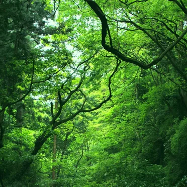 Hayama Ambient, Vol.2