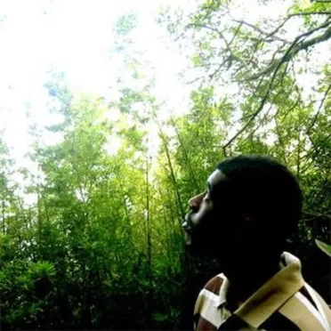 Demo 06 by Flying Lotus - album cover