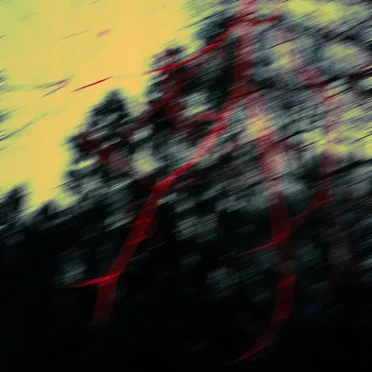 Sea of Ants by Dripping Trees - album cover