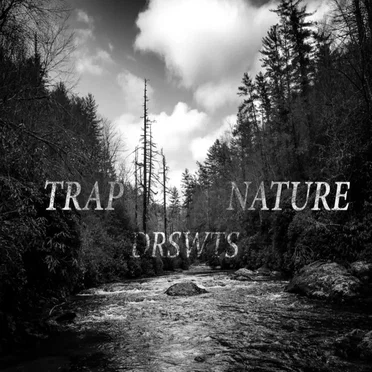 Trap Nature by Drswts - album cover