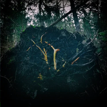 Raynkaym by Aūkels - album cover