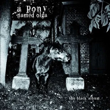 The Black Album by A Pony Named Olga - album cover