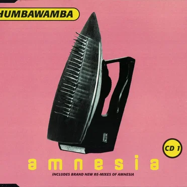 Amnesia