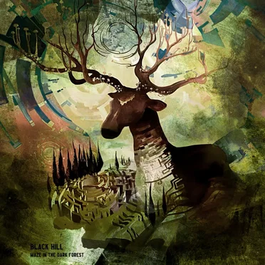 Maze in the Dark Forest
