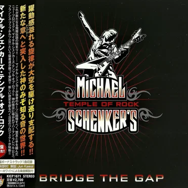 Bridge the Gap