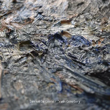 Damien De Coene / Train Cemetery