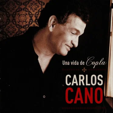 Una vida de copla