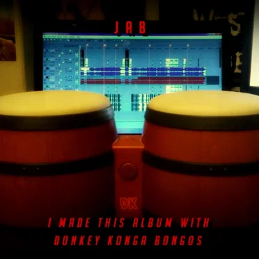 I Made This Album With Donkey Konga Bongos
