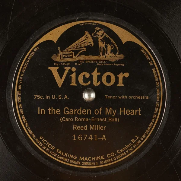 In The Garden Of My Heart / My Wild Irish Rose